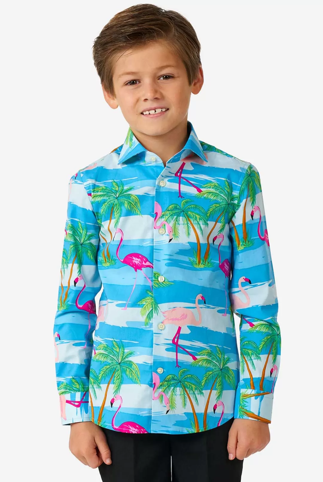 OppoSuits Casual Shirts^Flaminguy