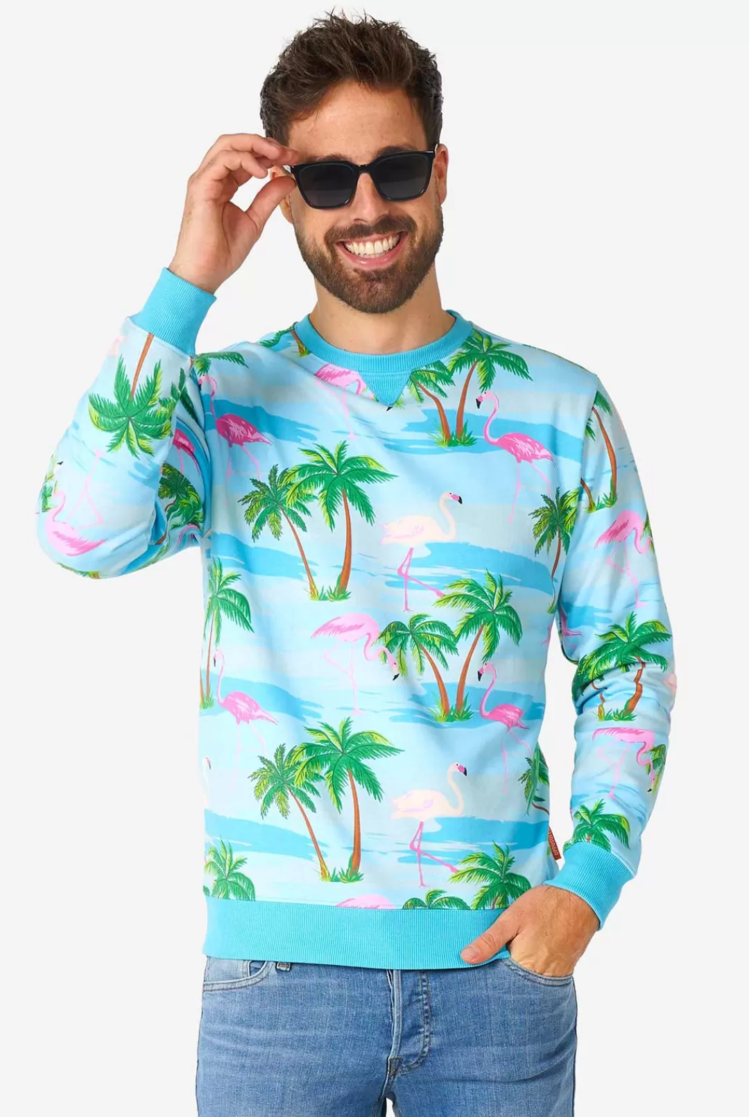 OppoSuits Deluxe Sweaters^Flaminguy